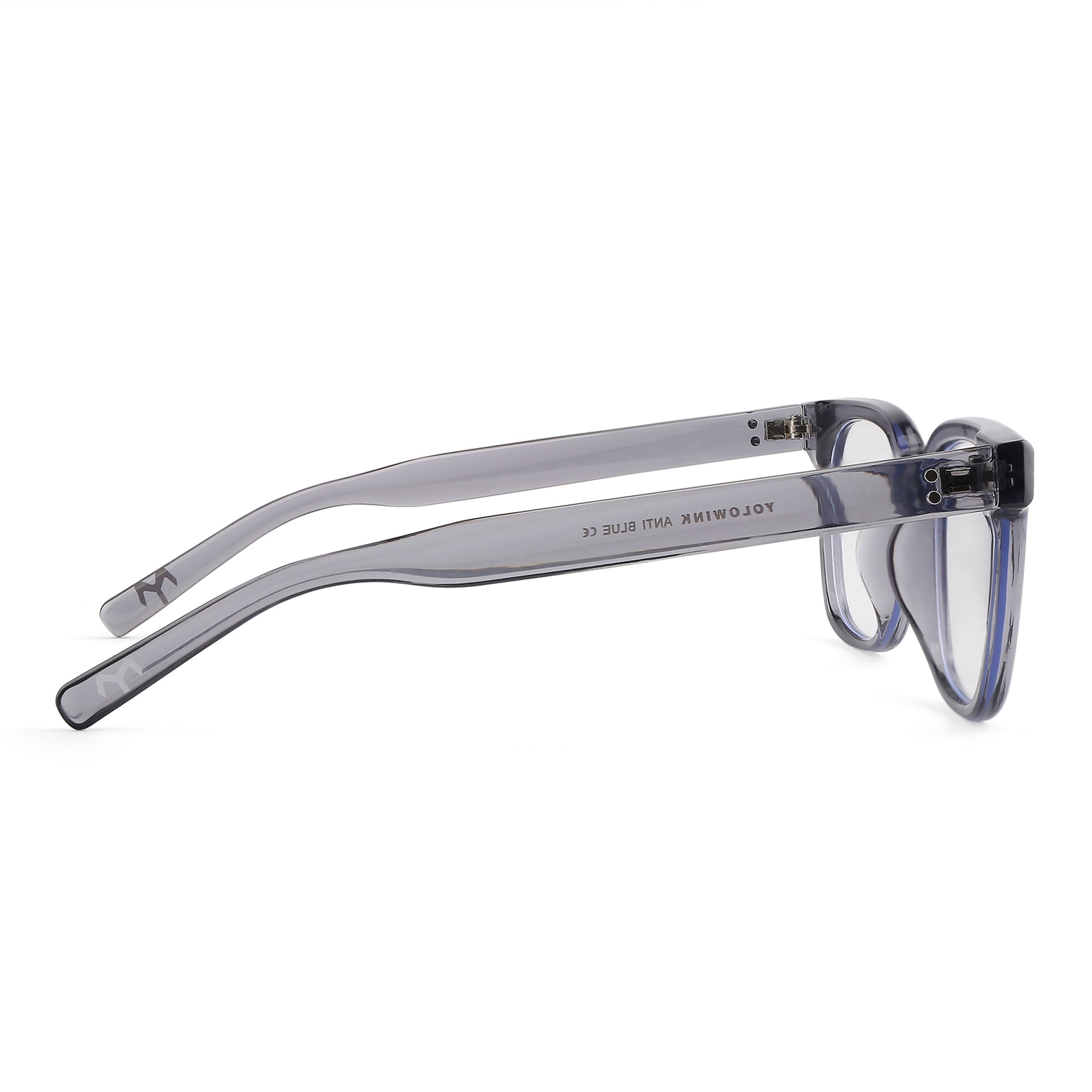 RectoSmart - Acetate Blue Computer Glasses for Men